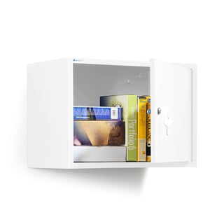 Small storage cabinet, 390x550x340mm, white