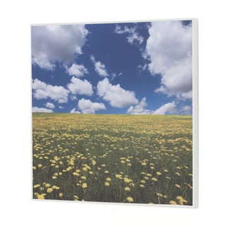 Noise absorbing wall panel, 1200x1200 mm, meadow