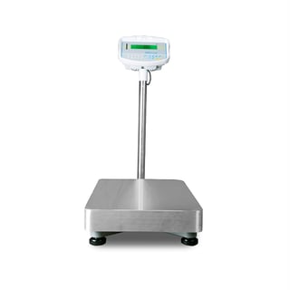 Floor check weighing scales, 75 kg load, 5 g