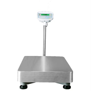 Floor check weighing scales, 600 kg load, 50 g