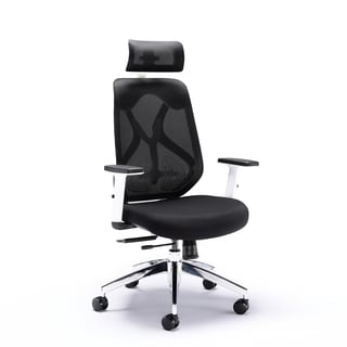 Modern mesh office chair DRAX
