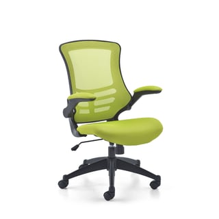 Colourful mesh office chair NEWQUAY, green
