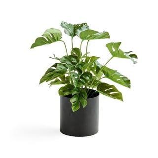 Kunst Monstera plant, h 300 mm, incl. zwarte stalen pot