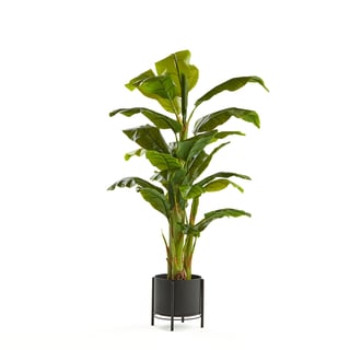 Artificial banana plant, H 1500 mm, incl. black steel pot on stand