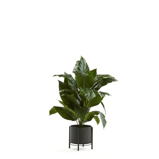 Kunstpflanze Friedenslilie mit Übertopf (schwarz) mit Ständer, H 1050 mm