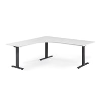 Miniatyrbilde 1