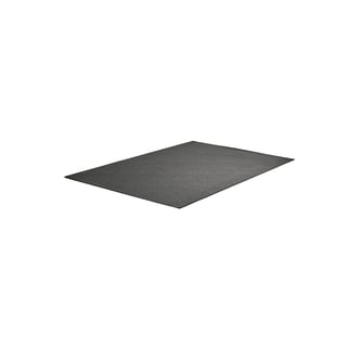 Vloerkleed COLIN, 3000 x 2000 mm, grijs