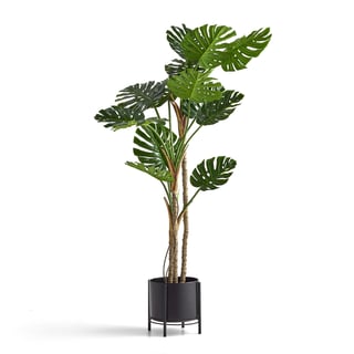 Kunstig plante, Monstera, H1800 mm, inkl. svart stålpotte på stativ