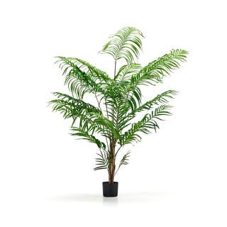 Kunstpflanze Arecapalme, H 1800 mm