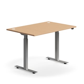 Sähköpöytä FLEXUS, suora pöytälevy, 1200x800 mm, hopeanharmaa jalusta, pyökki