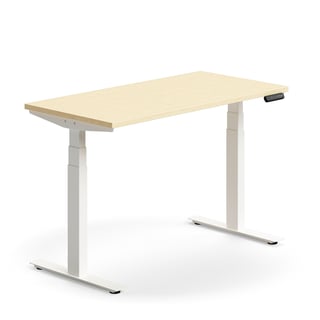 Standing desk QBUS, straight, 1200x600 mm, white frame, birch