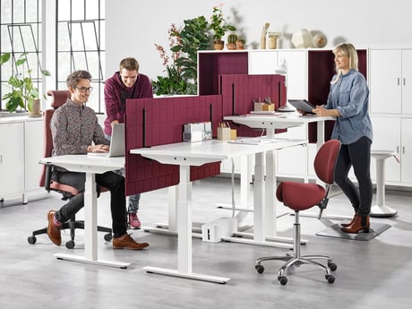 How to Engage Employees in Office Ergonomics: Height Adjustable Desks and More