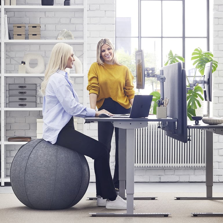 Two women discussing around a desk